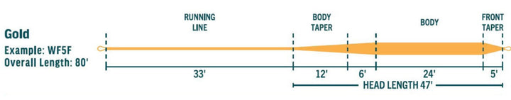 Avid Gold Fluesnøre | RIO