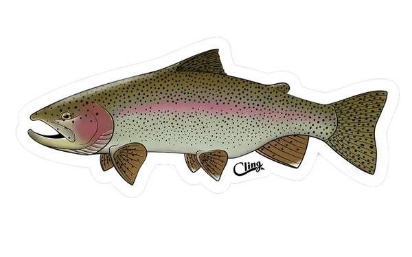 Regnbueørret klistremerke