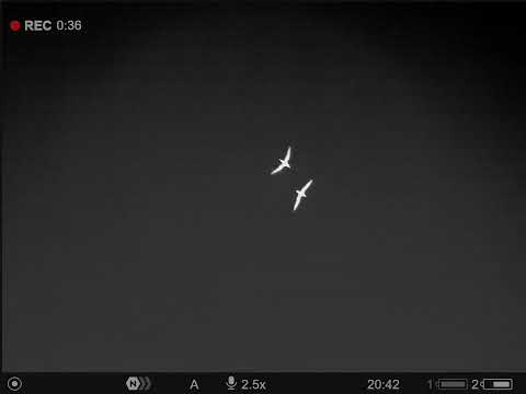 PULSAR VENTEX XT50 TERMISK BINOKULAR KIKKERT