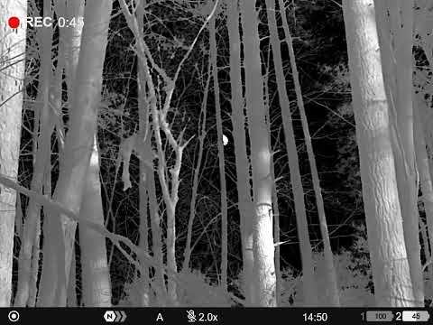 PULSAR VENTEX XP35 TERMISK BINOKULAR KIKKERT