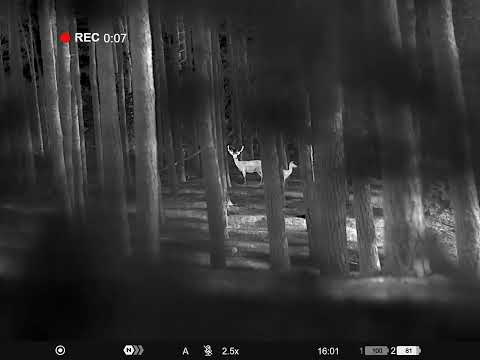 PULSAR VENTEX XT50 TERMISK BINOKULAR KIKKERT